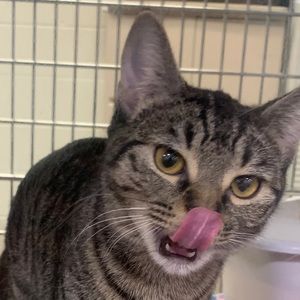 Meet your Posher, Maddie